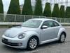VOLKSWAGEN THE BEETLE