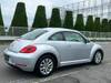 VOLKSWAGEN THE BEETLE