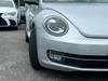 VOLKSWAGEN THE BEETLE
