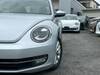 VOLKSWAGEN THE BEETLE