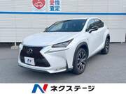 2014 LEXUS NX