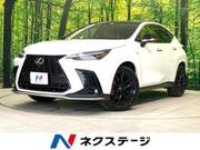 2025 LEXUS NX