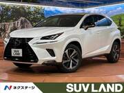 2019 LEXUS NX