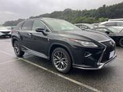 2019 LEXUS RX
