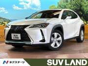 2020 LEXUS UX