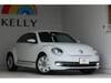 VOLKSWAGEN THE BEETLE