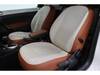 VOLKSWAGEN THE BEETLE