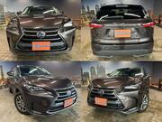 2015 LEXUS NX