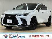 2022 LEXUS NX
