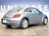 VOLKSWAGEN THE BEETLE