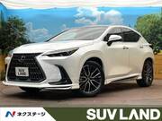 2024 LEXUS NX