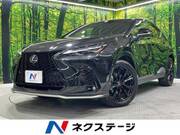 2024 LEXUS NX