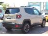 CHRYSLER JEEP RENEGADE