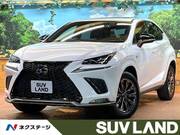 2021 LEXUS NX