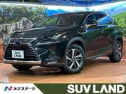 2019 LEXUS NX