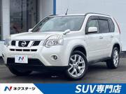 2013 NISSAN X-TRAIL