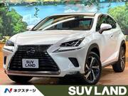 2019 LEXUS NX