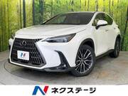 2024 LEXUS NX