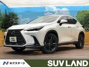2022 LEXUS NX