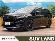 2024 HONDA OTHER