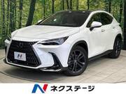 2023 LEXUS NX