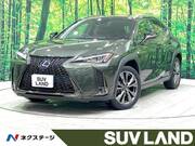 2020 LEXUS UX