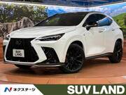 2023 LEXUS NX