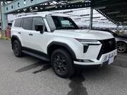 2025 LEXUS OTHER