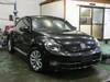 VOLKSWAGEN THE BEETLE