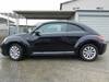 VOLKSWAGEN THE BEETLE