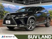 2019 LEXUS NX