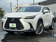 2022 LEXUS NX
