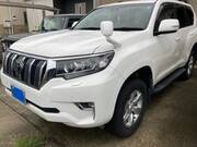 2019 TOYOTA LAND CRUISER PRADO TX