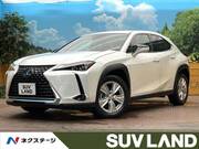2019 LEXUS UX