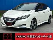 2017 NISSAN LEAF G