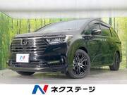 2025 HONDA OTHER