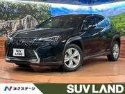 2021 LEXUS UX