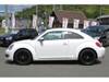 VOLKSWAGEN THE BEETLE