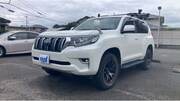 2019 TOYOTA LAND CRUISER PRADO TX