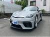 PORSCHE OTHER