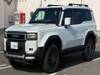 TOYOTA LANDCRUISER 250