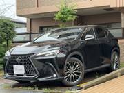 2022 LEXUS NX