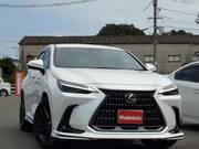 2025 LEXUS NX