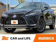 2020 LEXUS RX