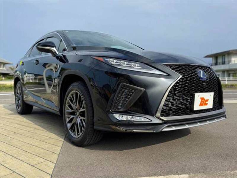 2020 LEXUS RX for sale - photo 9
