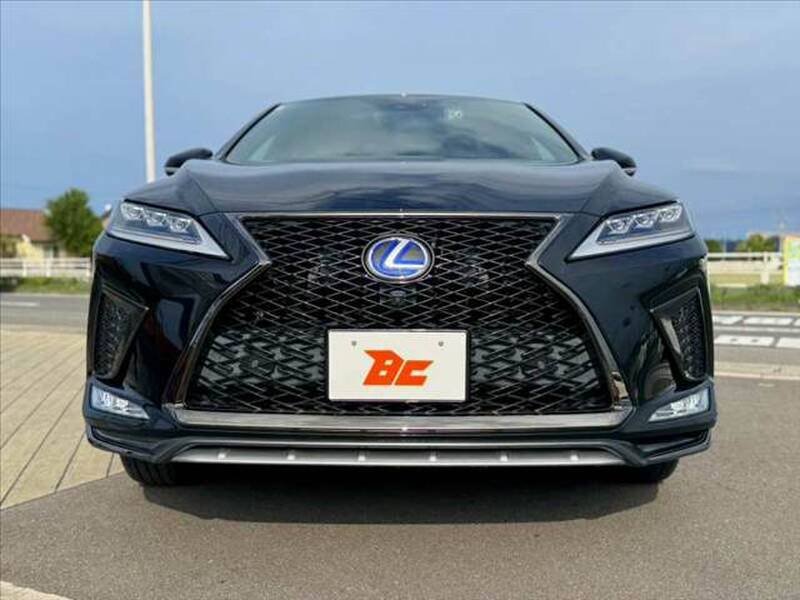 2020 LEXUS RX for sale - photo 10