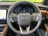 LEXUS OTHER