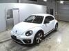 VOLKSWAGEN THE BEETLE