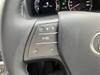 LEXUS HS