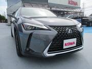 2019 LEXUS UX